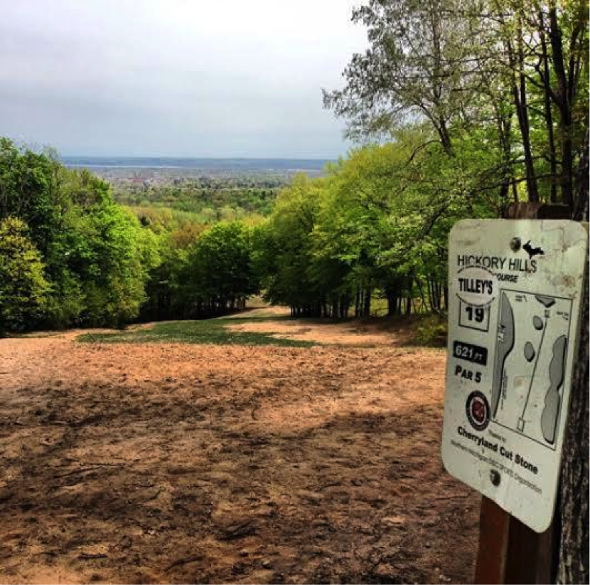 Disc Golf