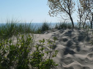 Saugatuck Dunes State Park Saugatuck Dunes State Park