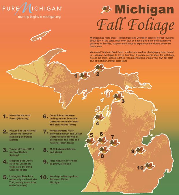 Todd and Brad Reed's picks for fall foliage