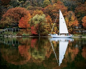 fall colors