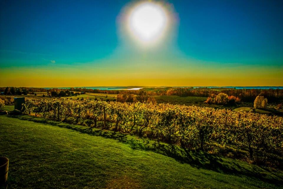 Sunset over Chateau Chantal Winery in Traverse City 