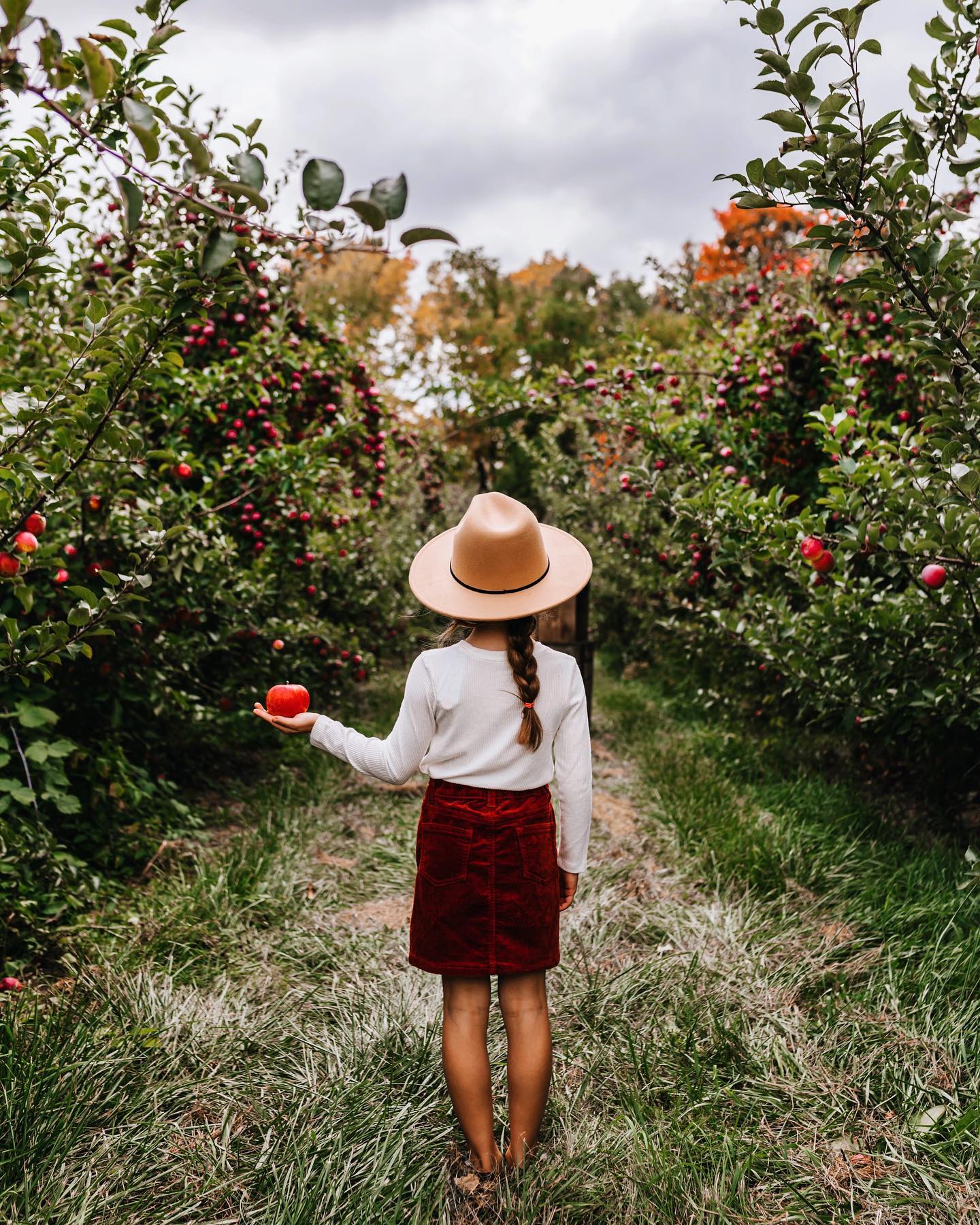 Rasch Cherry & Apple Market Woman holding apple in an apple orchard