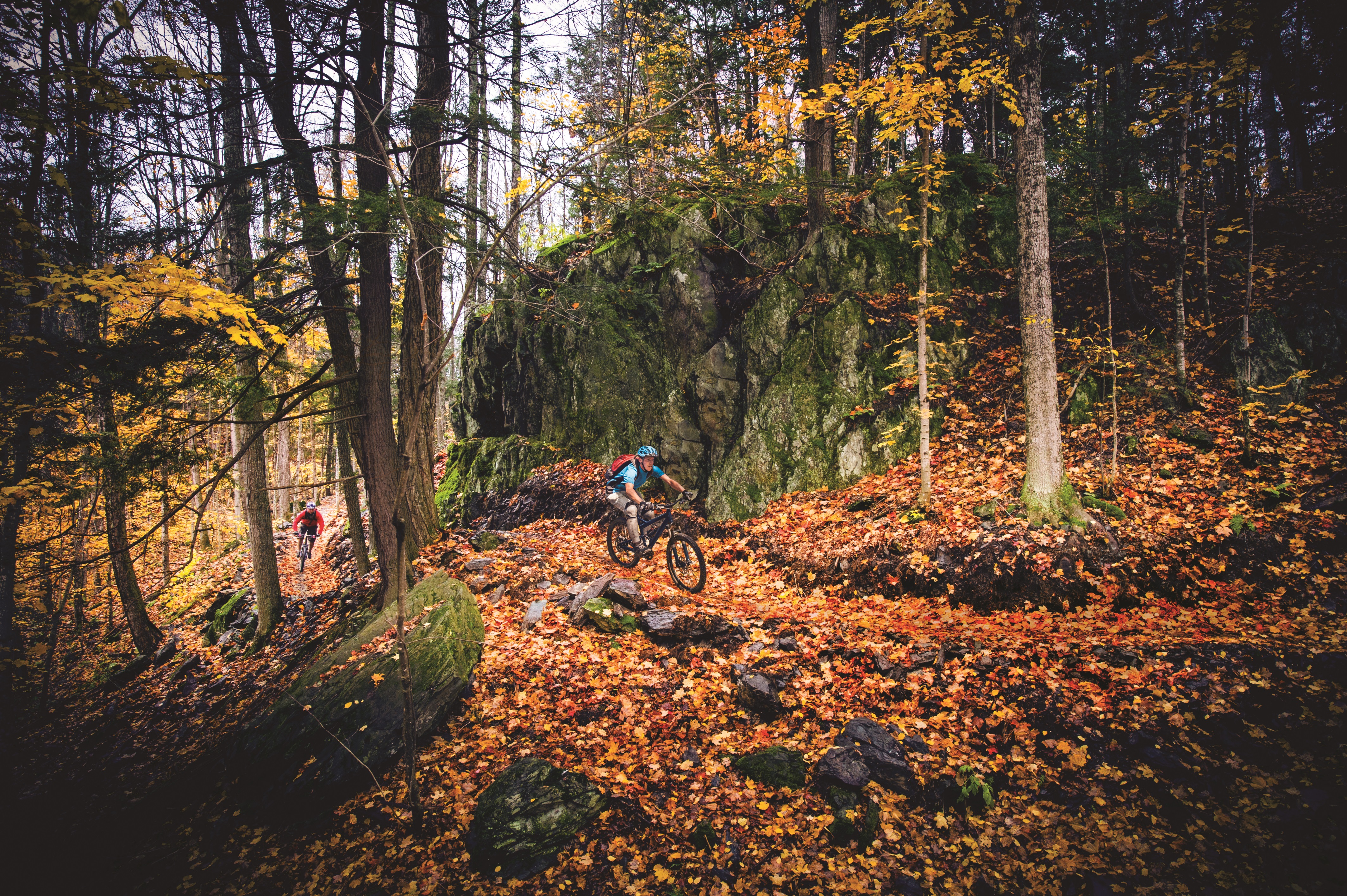 Man mountain biking through forest in Marquette
