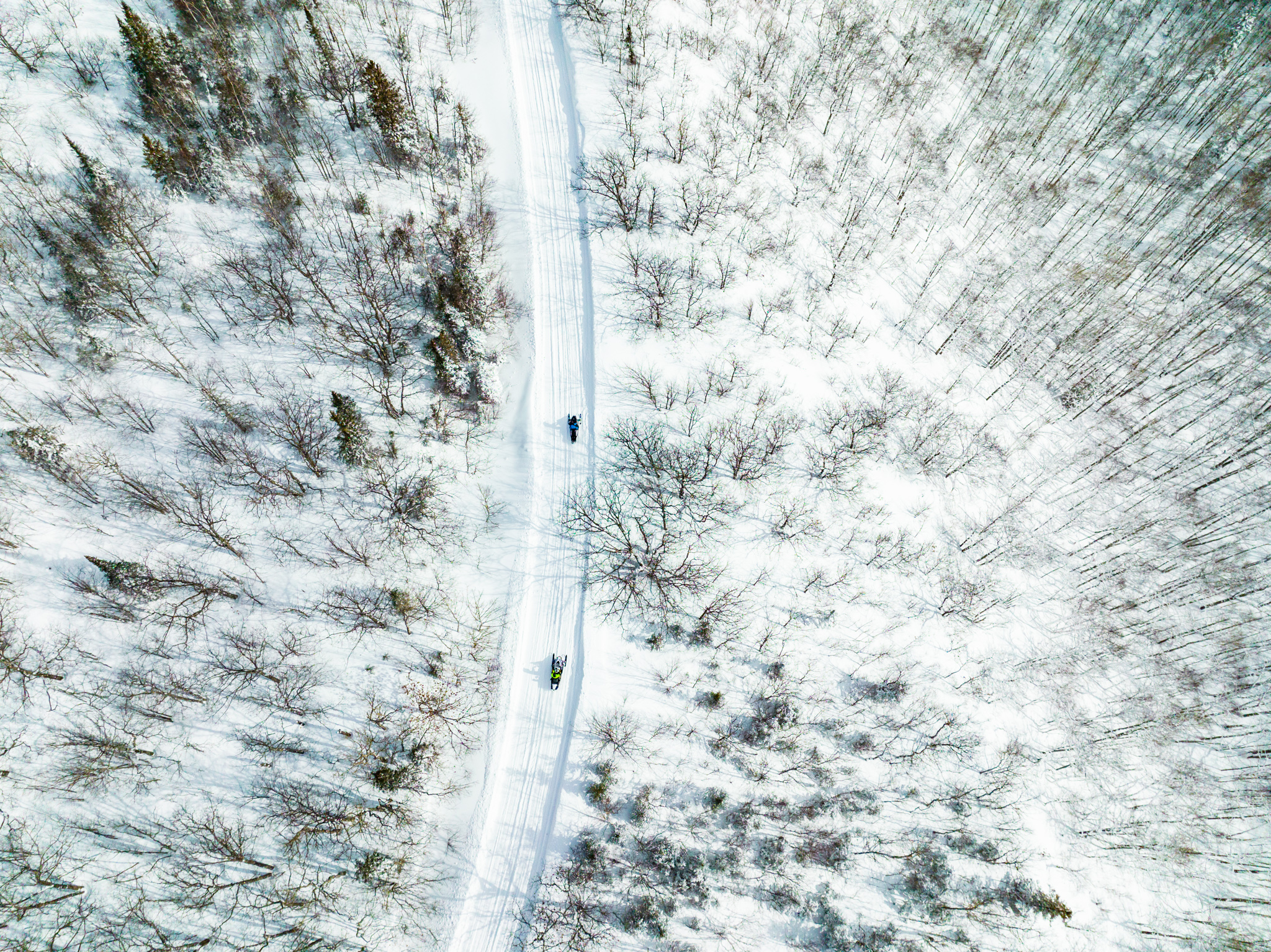Two people riding snowmobiles on a snowy trail through a forest