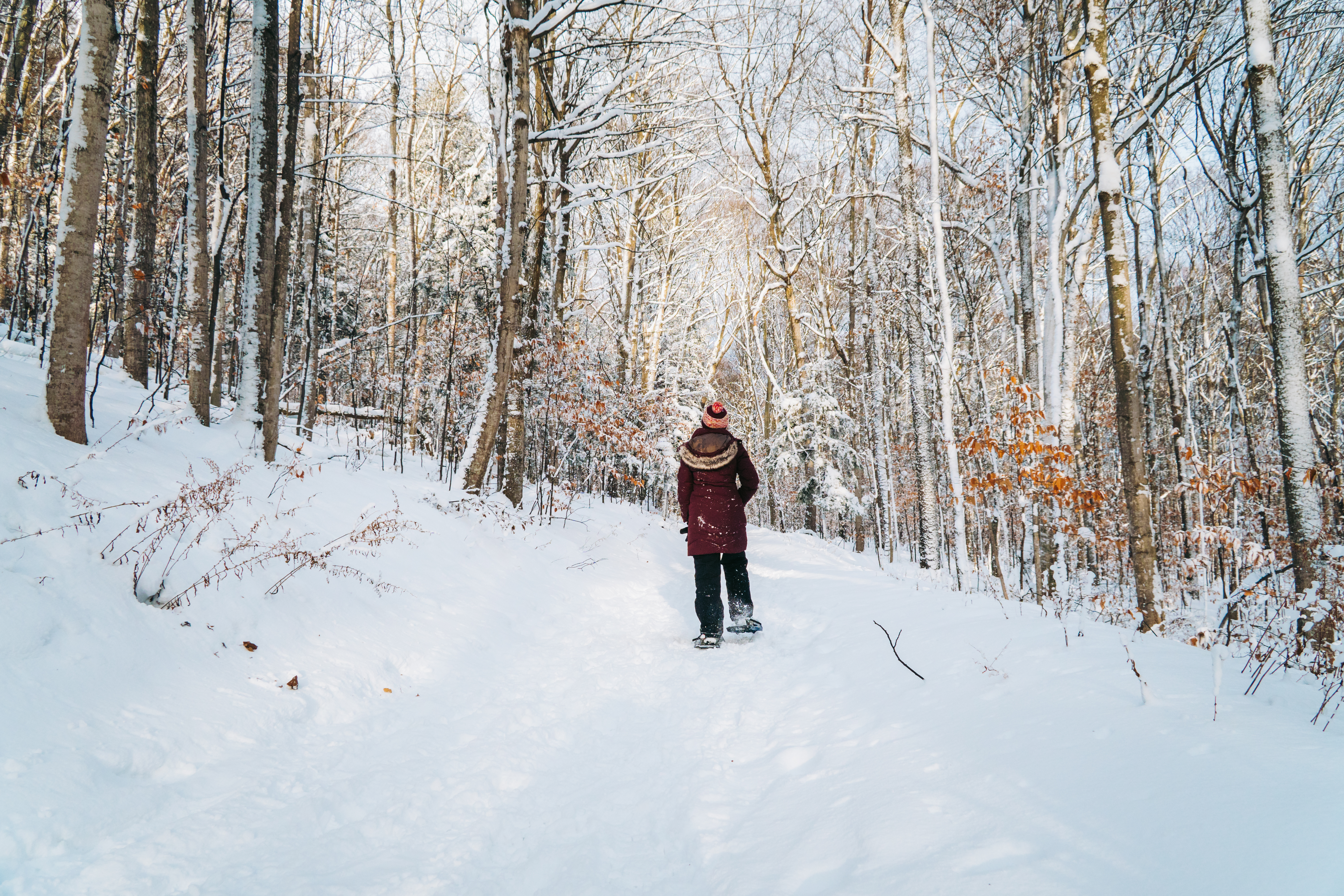 Snowshoeing in Michigan A person snowshoeing in a forest