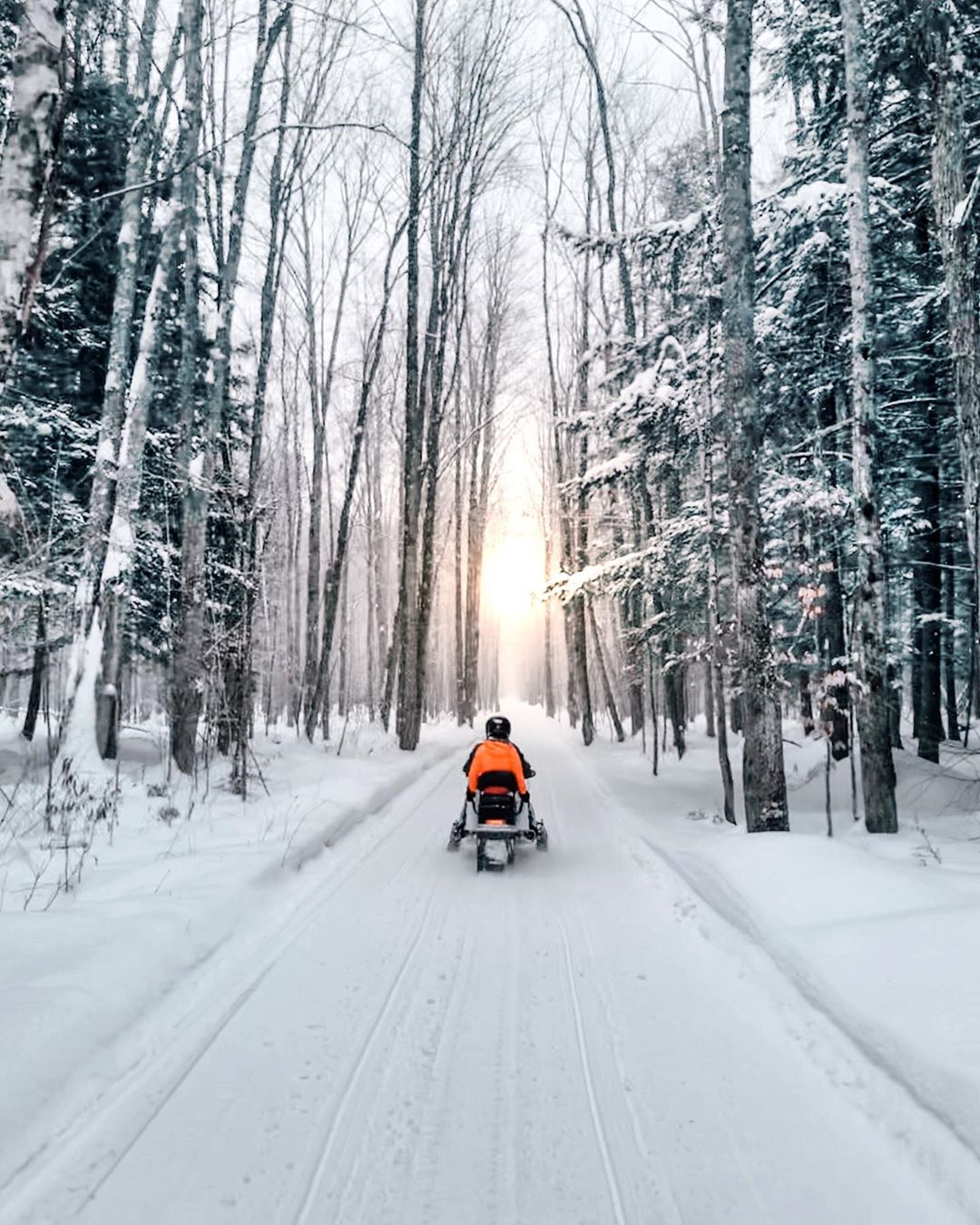 Snowmobiling in Michigan A man snowmobiling in a snowy forest