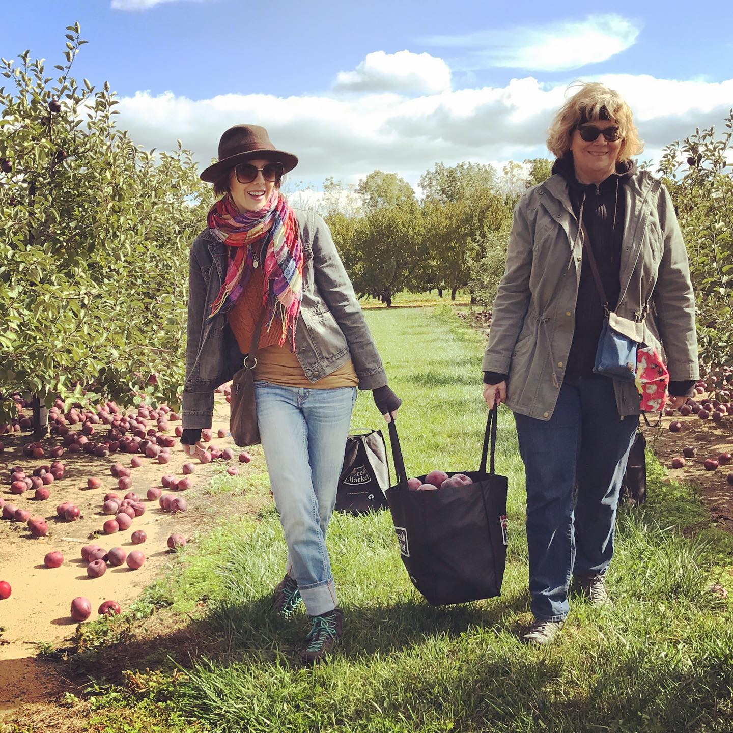 Two woman carrying a bag of apples through an orchard. 