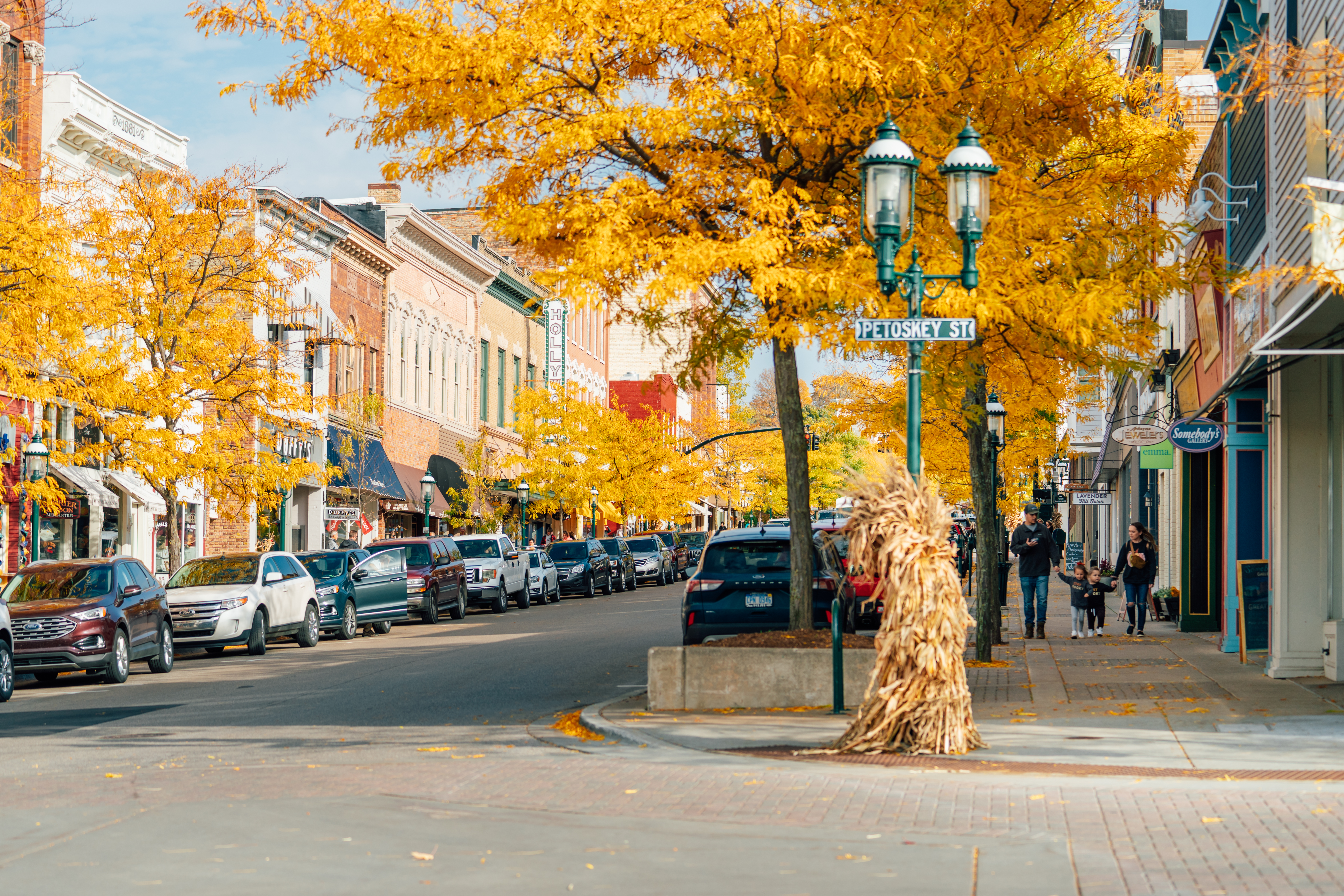 Fall trees in downtown Petoskey