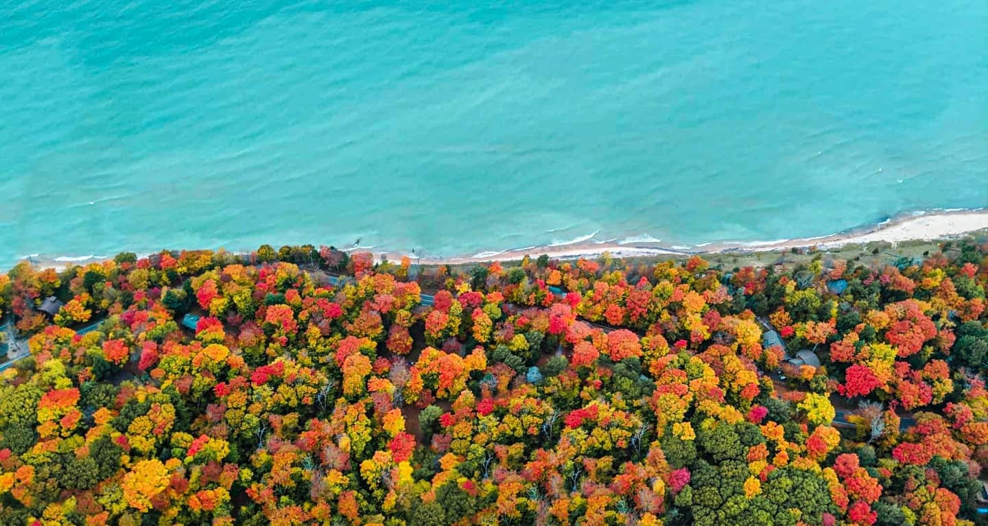 Manistee fall