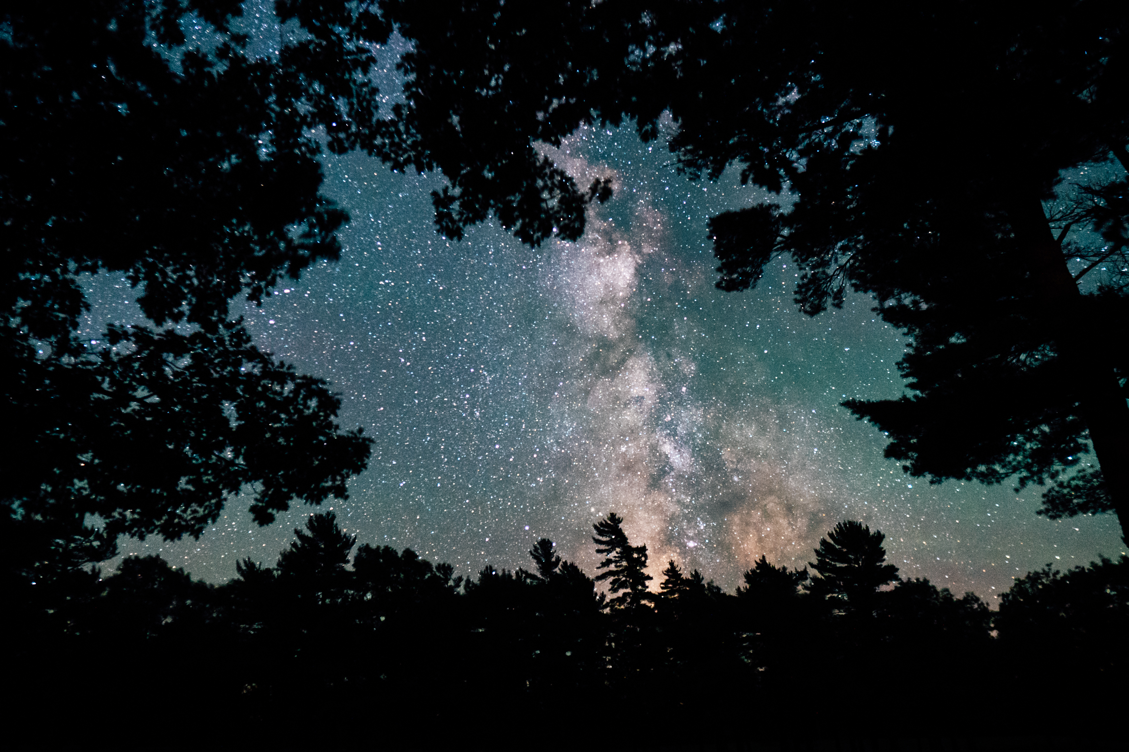 Stargazing in the Upper Peninsula The milky way above a forest
