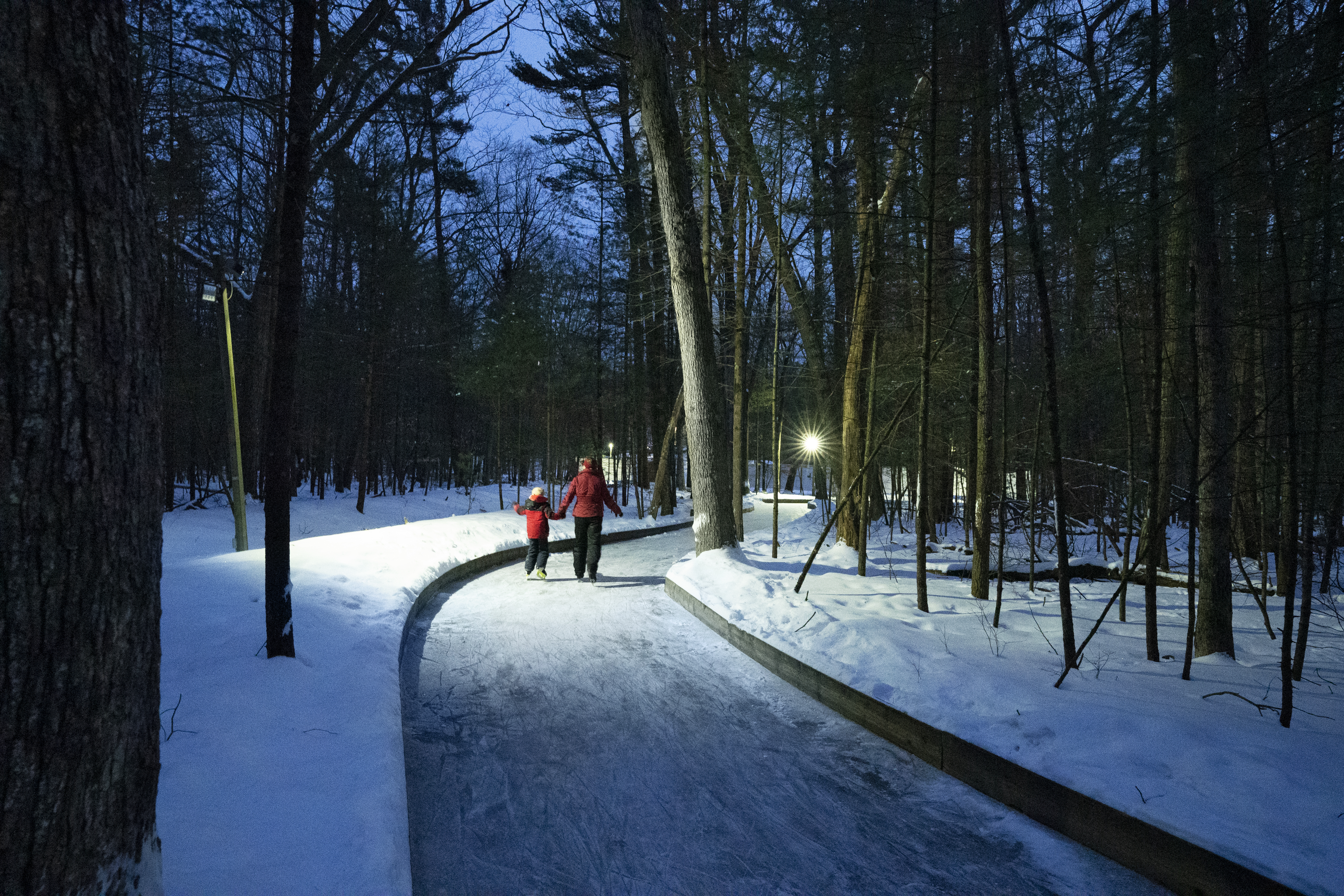 An adult and child ice skating down an ice trail in a forest