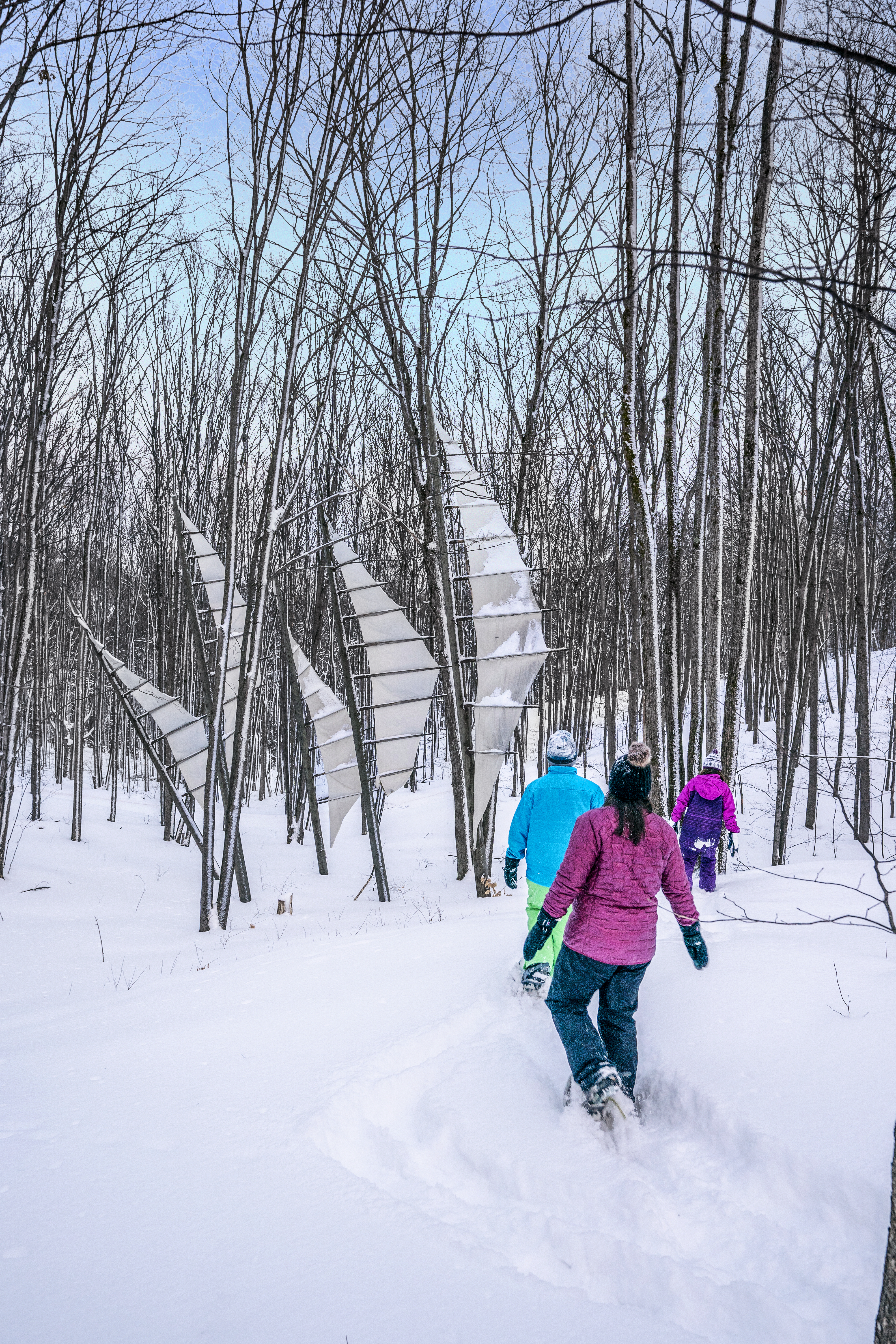 A group of people snowshoeing past an outdoor sculpture in a forest