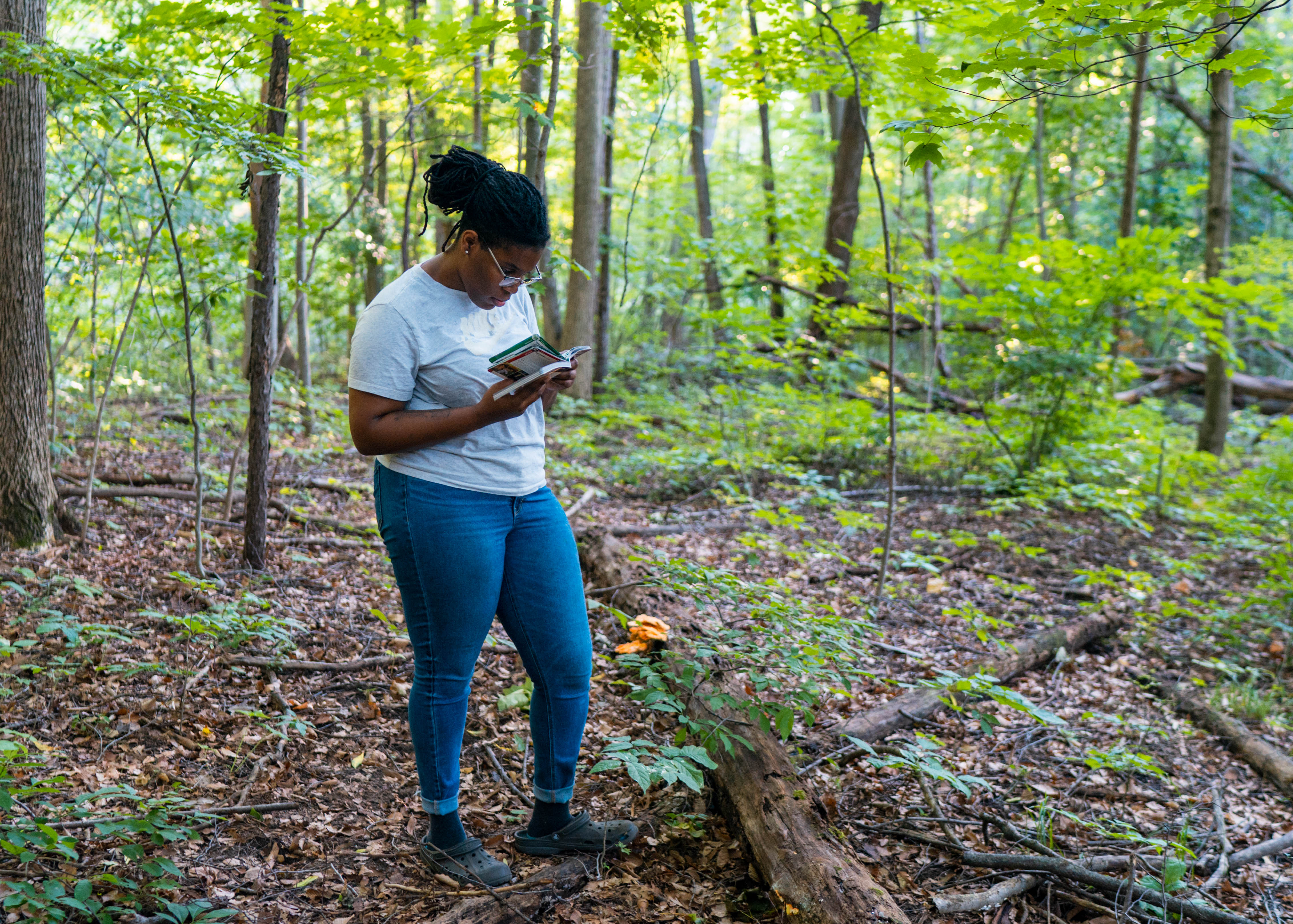 Mushroom hunting A woman reading a mushroom hunting reference book in the woods