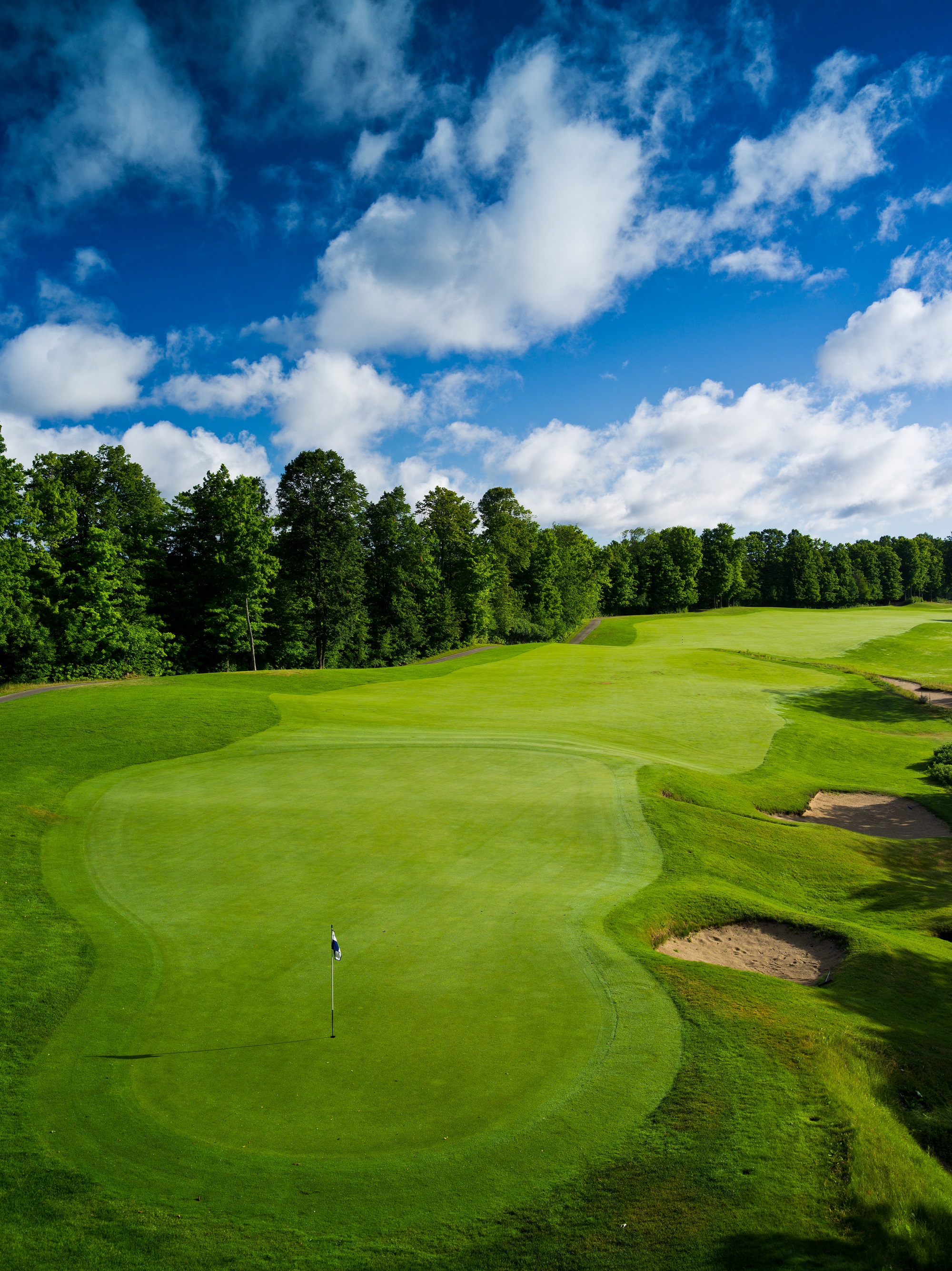Treetops Resort A golf course with sand traps surrounded by a forest.