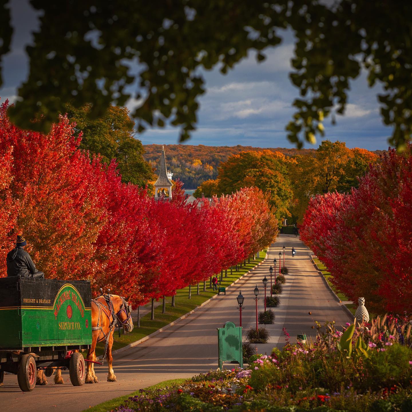 Mackinac Island in the Fall A horse and carriage on a boulevard surrounded by fall trees.