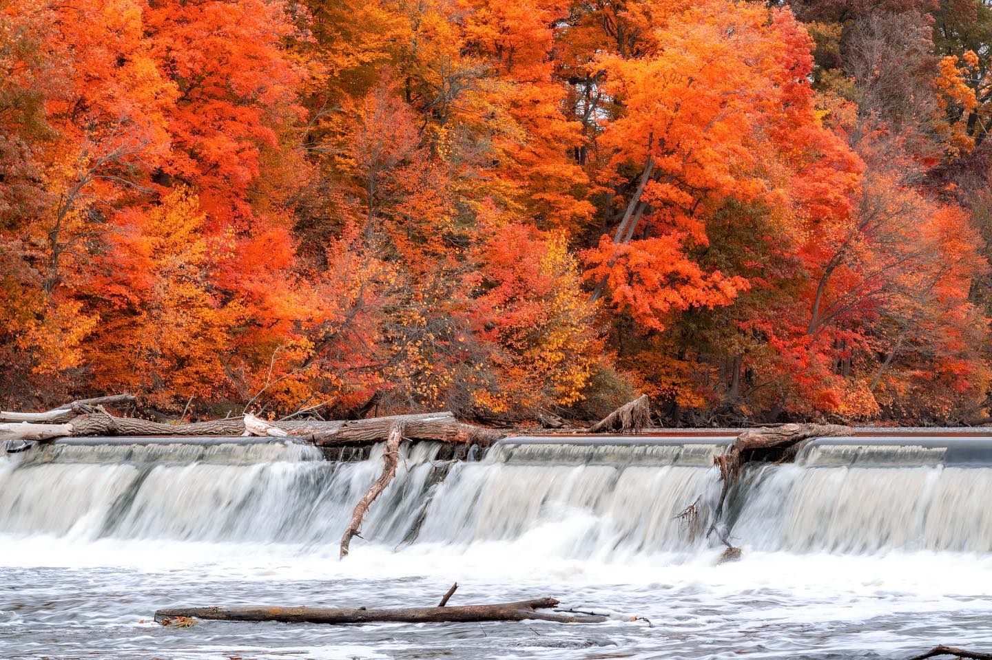Water flowing over a dam near fall trees