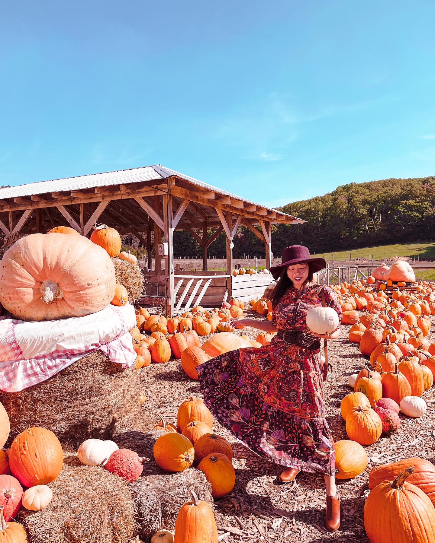Michigan Pumpkin Patches A woman holding a pumpkin near a pumpkin display.