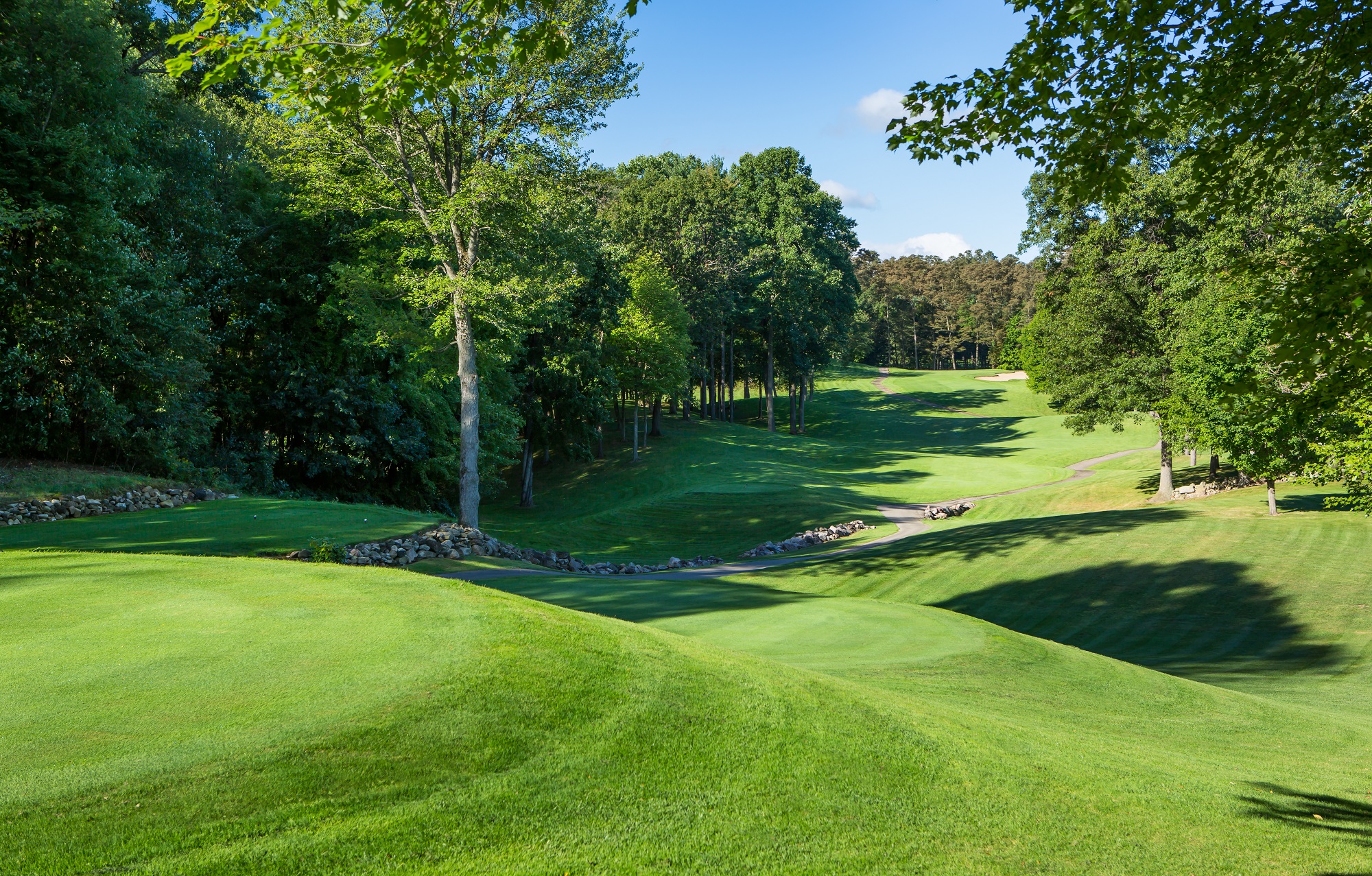 Stonehedge South at Gull Lake View Resort A golf course surrounded by trees.