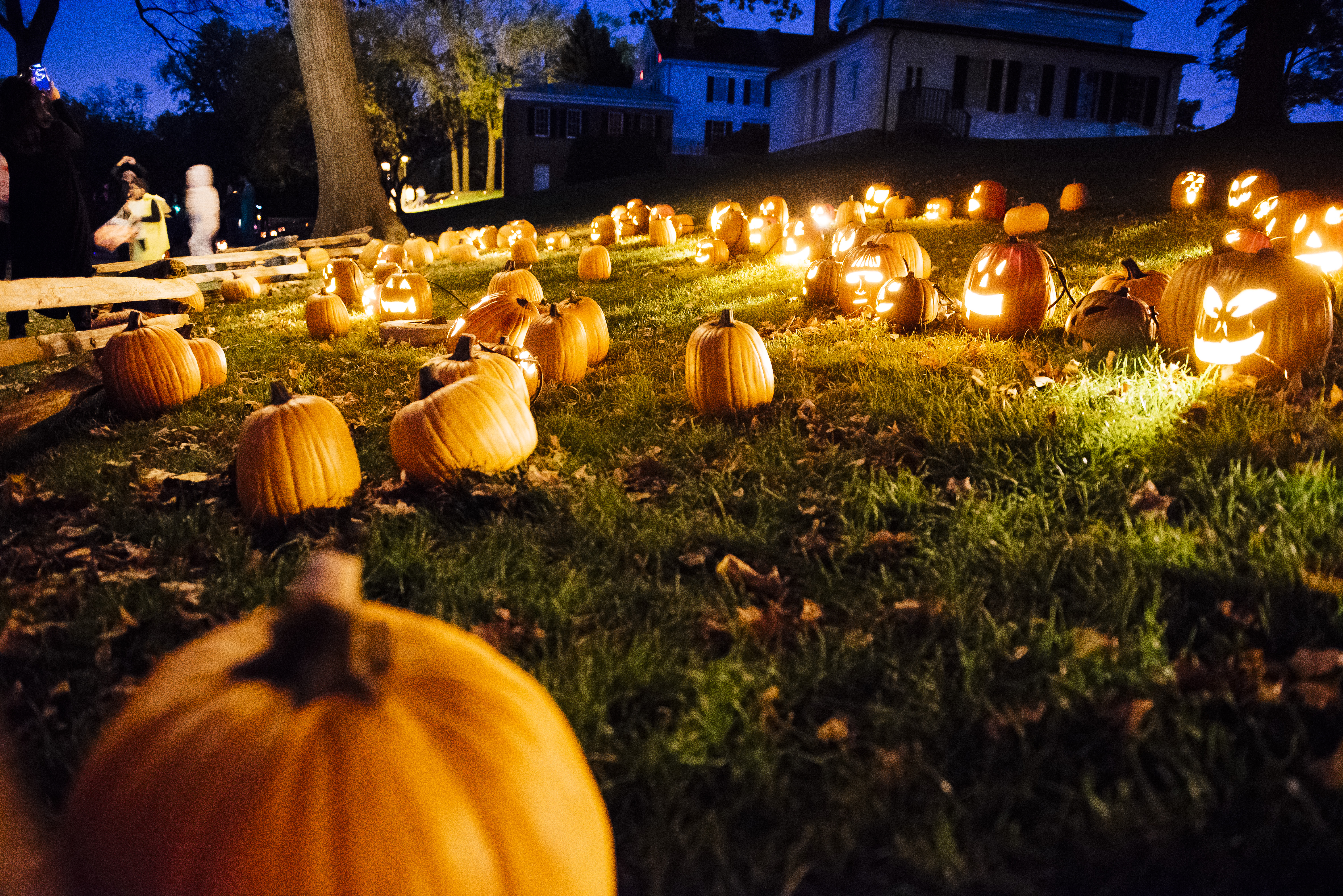 Jack o' lanterns on display in the grass at The Henry Ford Museum
