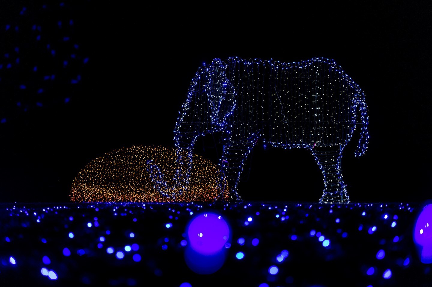 Wild Lights at the Detroit Zoo An elephant sculpture made of holiday lights