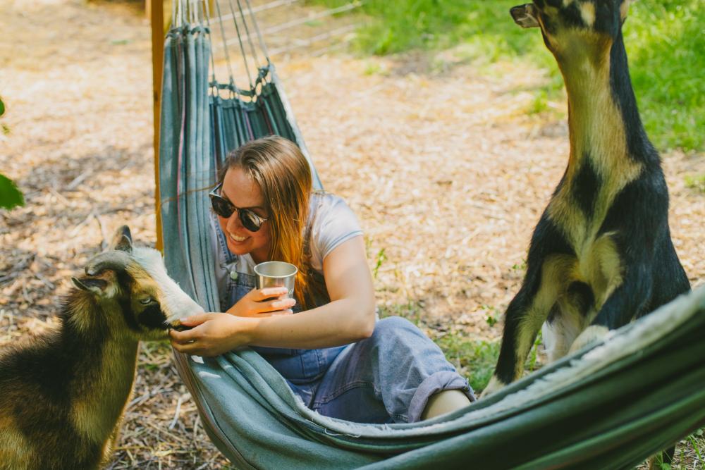 A woman in a hammock petting a goat. 