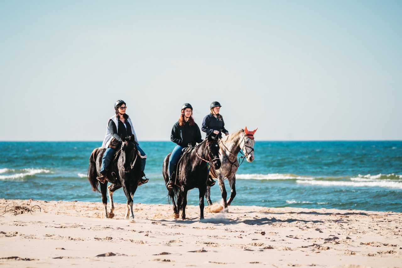 Three women riding horses on the shore of Lake Michigan.