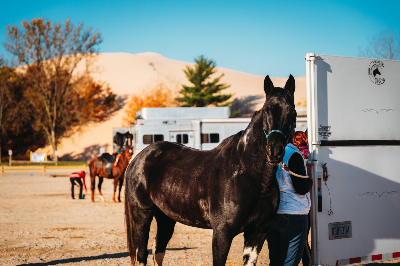 A horse tied to a horse trailer waiting to be saddled. 