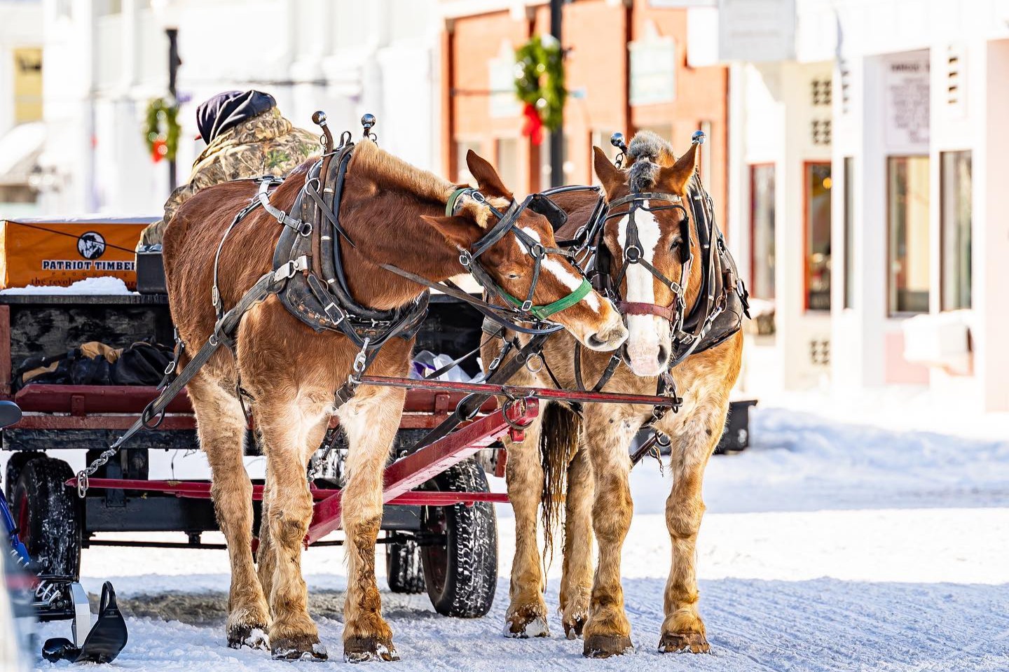 Two horses pulling a carriage in downtown Mackinac Island during winter. 