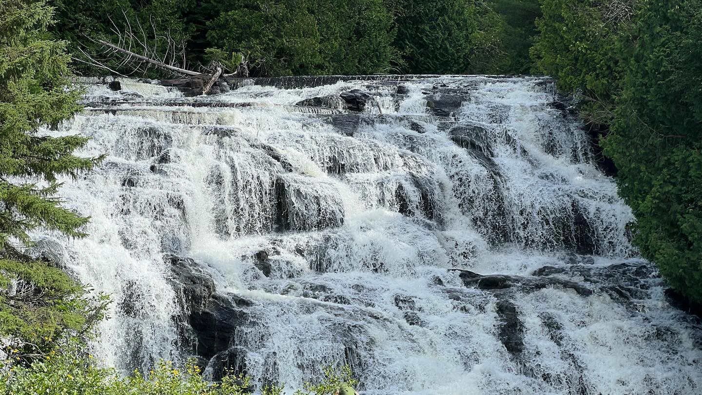 A cascading waterfall surrounded by a forest. 