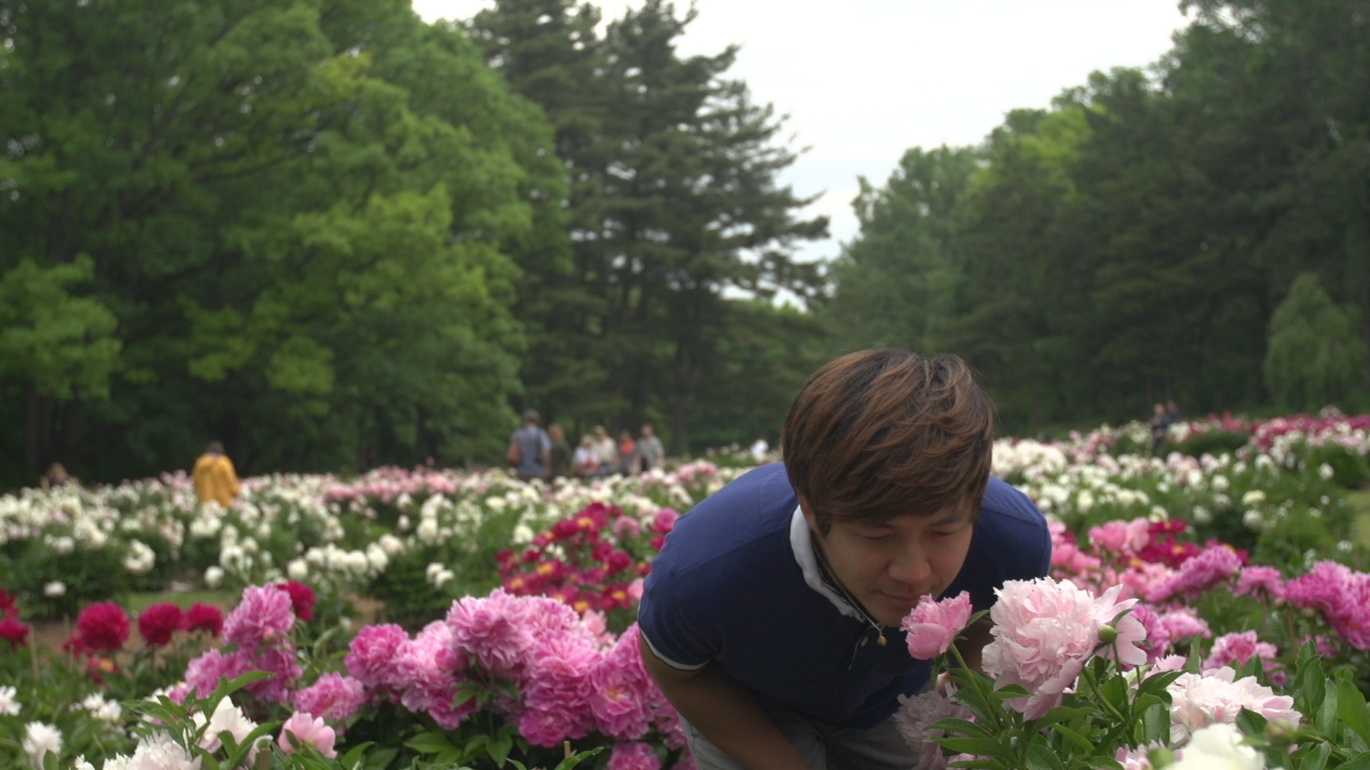A man sniffing peonies in in a meadow of flowers surrounded by trees.
