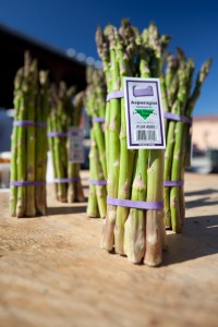 Asparagus3