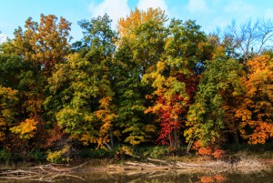 Photo courtesy of Go Great Lakes Bay