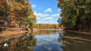 Photo courtesy of Go Great Lakes Bay