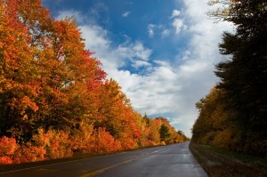 michigan fall color tour