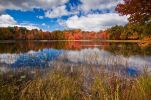 michigan fall colors