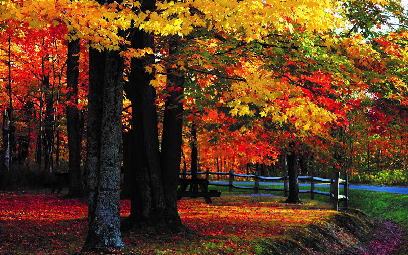 Smal Town Charm in Cheboygan
