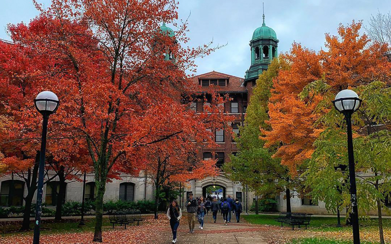 Fall Color in Ann Arbor