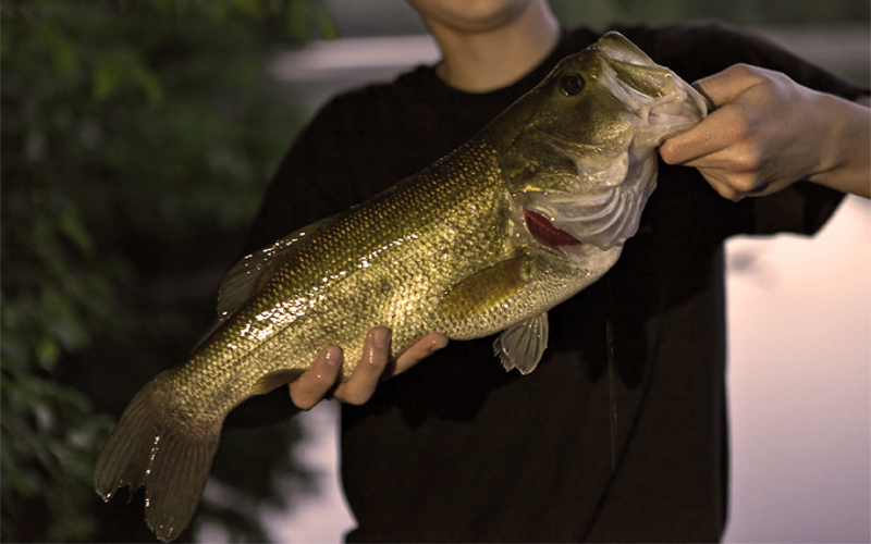 Fishing in the Big Rapids Area