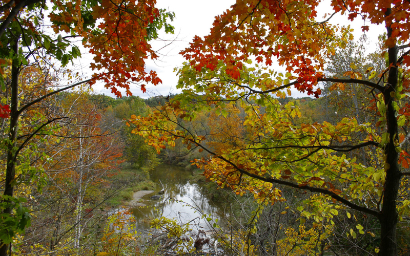 Fall Colors in the Blue Water Area
