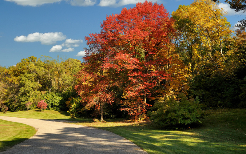 Fall Colors in Cheboygan
