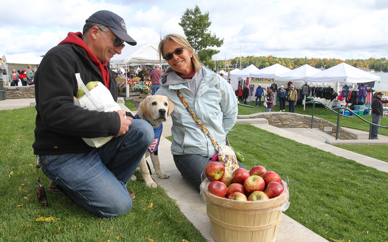 Apple Picking in Charlevoix