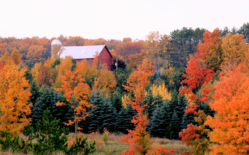 Smal Town Charm in Charlevoix