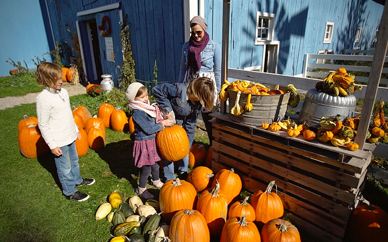 Pumpkin Patch in Frankenmuth