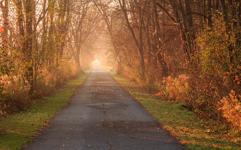 Trails in Great Lakes Bay Region