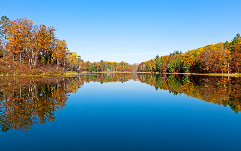 Fall Colors in Great Lakes Bay Region