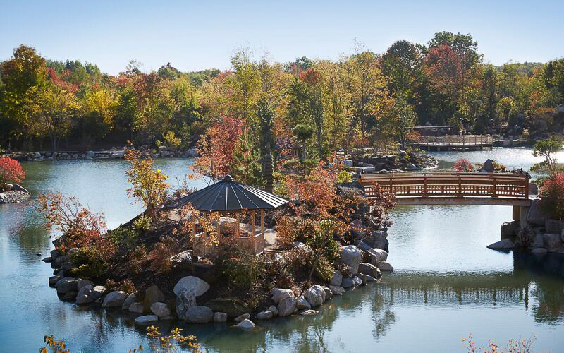 History and Arts in Grand Rapids