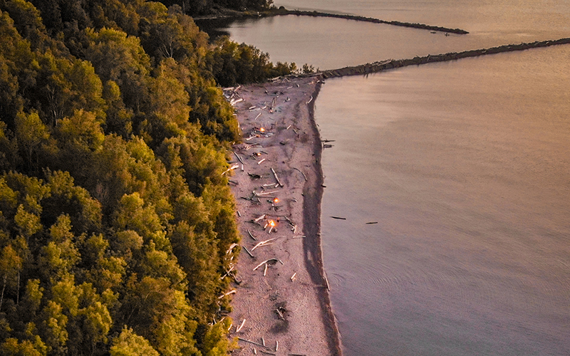 aerial view of beach, green treetops and water is calm