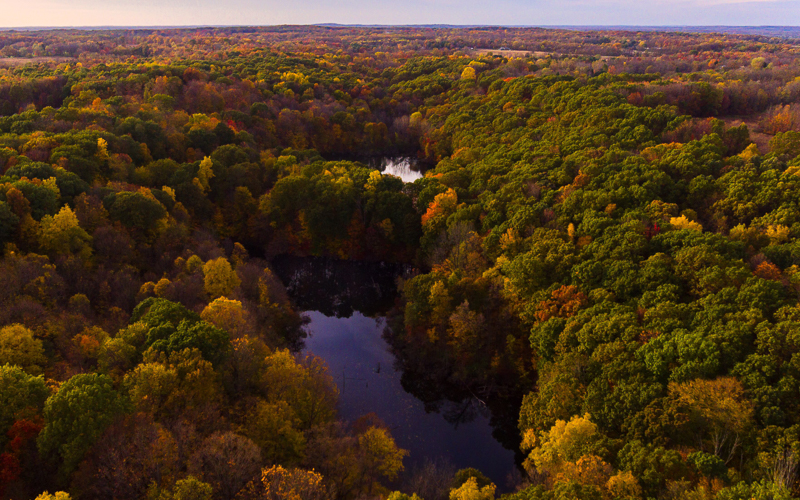 Small Town Charm in Kalamazoo