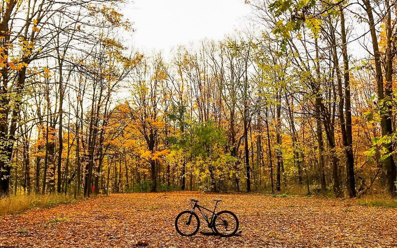 Trails in Kalamazoo