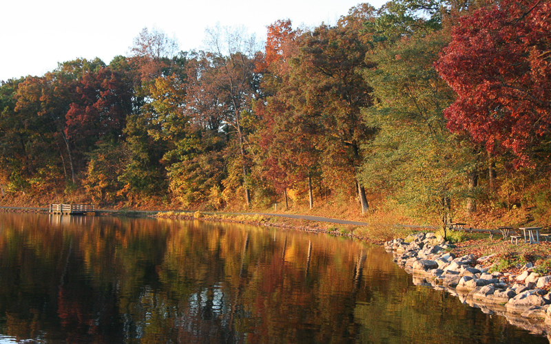 Fall Colors in the Brighton-Howell Area